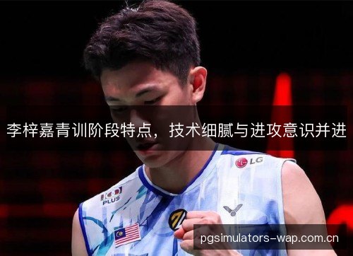 李梓嘉青训阶段特点，技术细腻与进攻意识并进