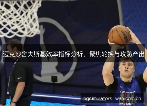 迈克沙舍夫斯基效率指标分析，聚焦轮换与攻防产出